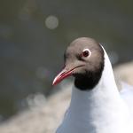 IMG_7124