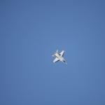 IMG_8080
