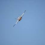IMG_8151
