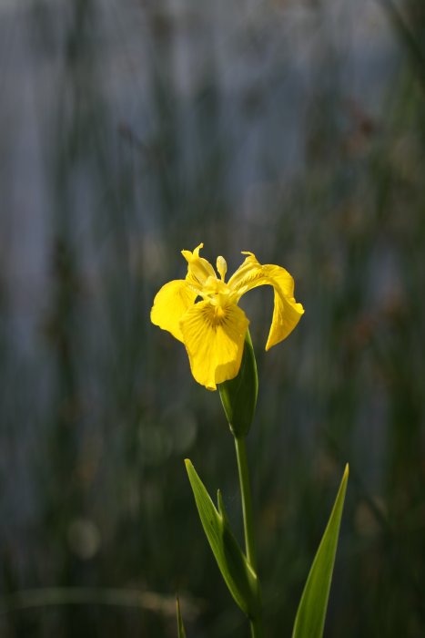 IMG_7862