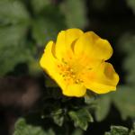 IMG_4998